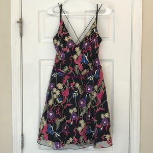 Beautiful BCX semi formal